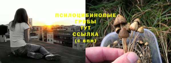 герыч Алексин